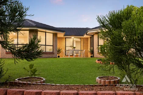 Property photo of 103 Sharpless Road Springfield QLD 4300