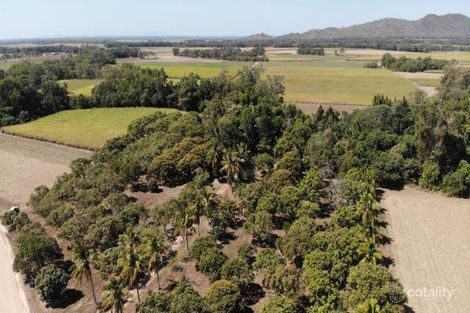 Property photo of 47061 Bruce Highway South Bambaroo QLD 4850