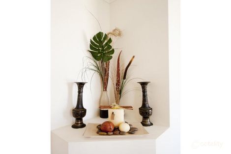 Property photo of 14 Collins Court Eimeo QLD 4740