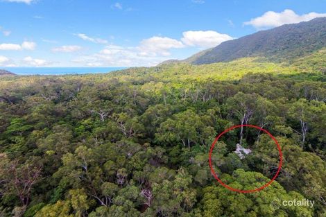 Property photo of 163 Wattle Close Cow Bay QLD 4873
