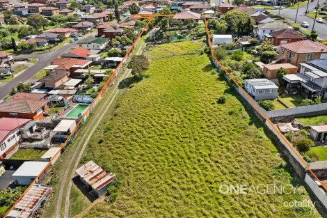 Property photo of 49-51 Jane Avenue Warrawong NSW 2502