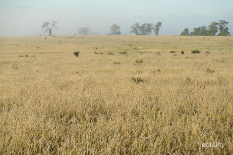 849 Gunnewin East Rd, Gunnewin, QLD 4455