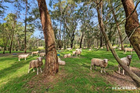 Property photo of 1199 Princes Highway Jeremadra NSW 2536