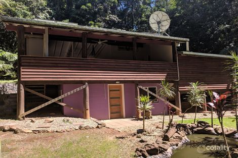 Property photo of 1377 Cape Tribulation Road Cow Bay QLD 4873