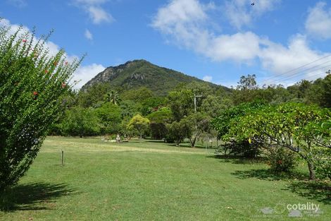Property photo of 8 Evelyn Street Aratula QLD 4309