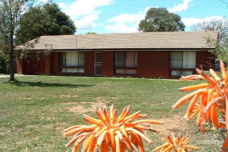 384 Goonoo Goonoo Rd, Hillvue, NSW 2340