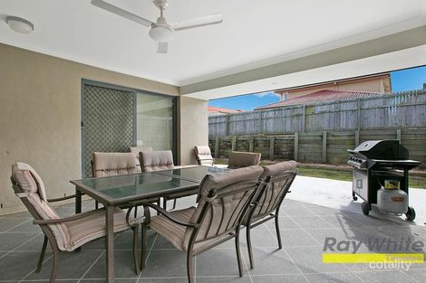 Property photo of 9 Olsen Crescent Wakerley QLD 4154