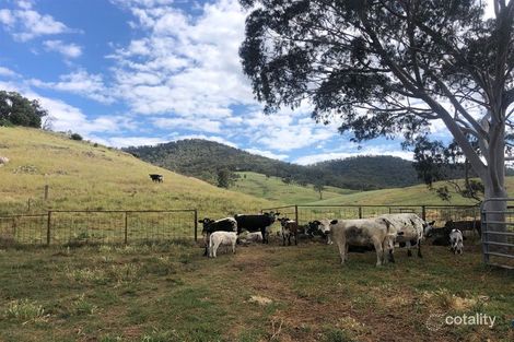 Property photo of 1729 Nundle Road Dungowan NSW 2340