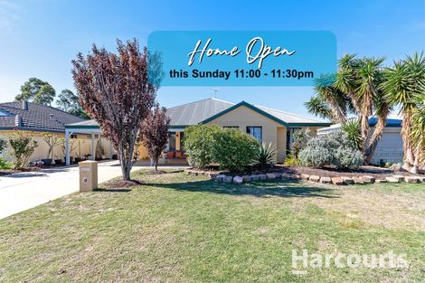 19 Dentata St, Banksia Grove, WA 6031