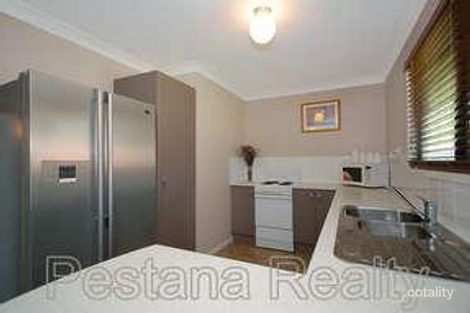 Property photo of 3 Gazania Street Kingston QLD 4114