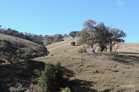 Hollow Mount Rd, Bigga, NSW 2583