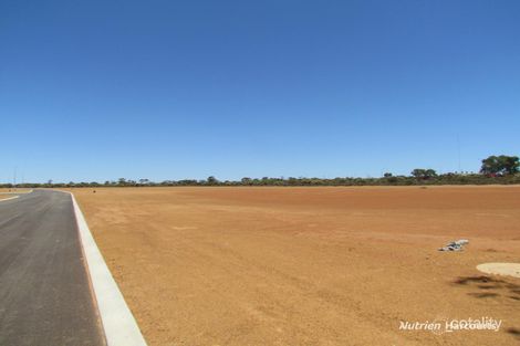 1 York St, Dalwallinu, WA 6609