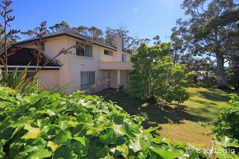 Property photo of 6 Falmouth Street St Helens TAS 7216