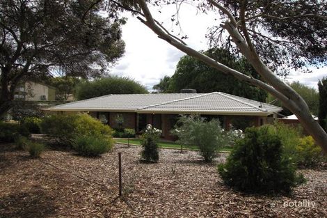 Property photo of 39 Derrick Street Berri SA 5343