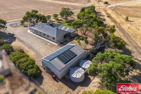 Property photo of 1 Cliff Road Roseworthy SA 5371