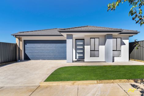 19 Georgina Ave, St Leonards, VIC 3223