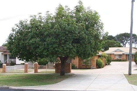 100 Archibald St, Willagee, WA 6156