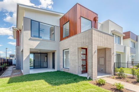 Property photo of 16 Agility Place Birtinya QLD 4575