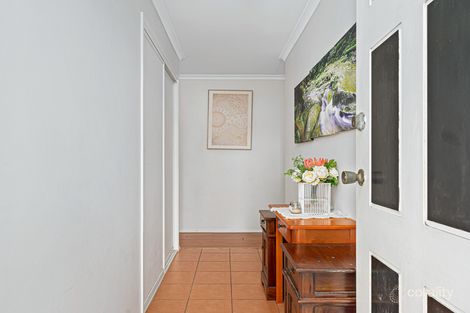 Property photo of 33 Romney Street Pialba QLD 4655