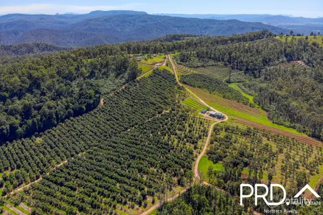 158 Crescent Hills Rd, Tabulam, NSW 2469