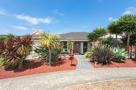 Property photo of 5 Malkeith Court Grovedale VIC 3216