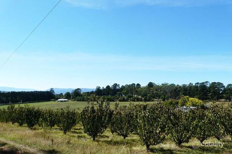 56 Monbulk-Seville Rd, Seville, VIC 3139