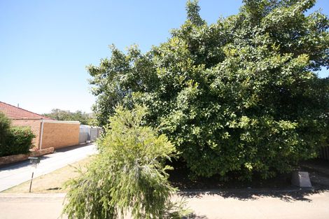 Property photo of 7 Midera Avenue Edwardstown SA 5039