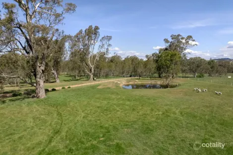 Property photo of 14 Campagnolos Road Mansfield VIC 3722