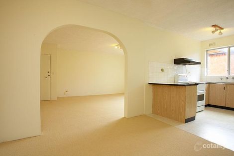 3/8 Ilikai Pl, Dee Why, NSW 2099