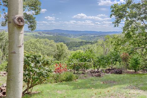 Property photo of 567 Black Mountain Road Black Mountain QLD 4563