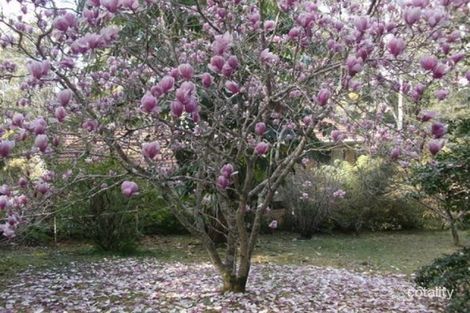 Property photo of 425 Upper Warrell Creek Road Congarinni NSW 2447