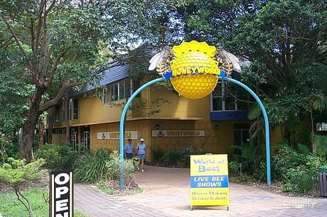 1/35 Tomewin St, Currumbin, QLD 4223