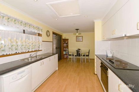 Property photo of 7 Sycamore Place Palm Beach QLD 4221