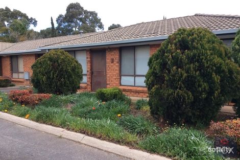 4/8-10 Harrison Ave, Modbury, SA 5092