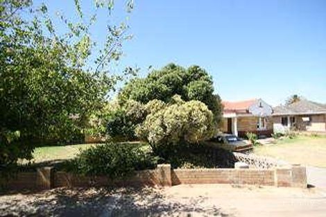 Property photo of 17 Adelaide Terrace Edwardstown SA 5039