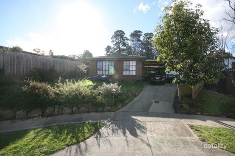 3 Cheshire Ct, Wantirna, VIC 3152