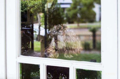 Property photo of 5 Rickard Street Ryde NSW 2112