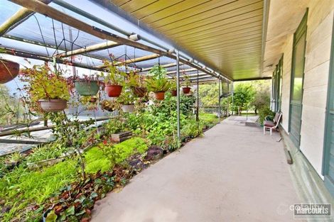 Property photo of 209 Moppa Road Nuriootpa SA 5355