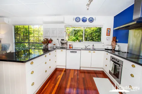 Property photo of 10 Shaw Crescent Healy QLD 4825