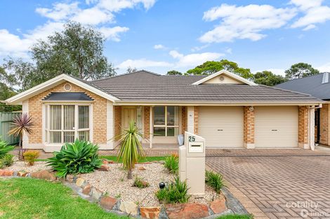 Property photo of 25 Erebus Circuit Morphett Vale SA 5162