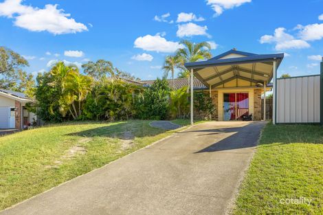 Property photo of 6 Palm Court Clinton QLD 4680