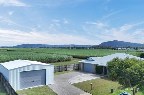 31 O'Neill Pl, Marian, QLD 4753