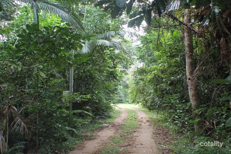 Property photo of 17 Kurrajong Close Wongaling Beach QLD 4852