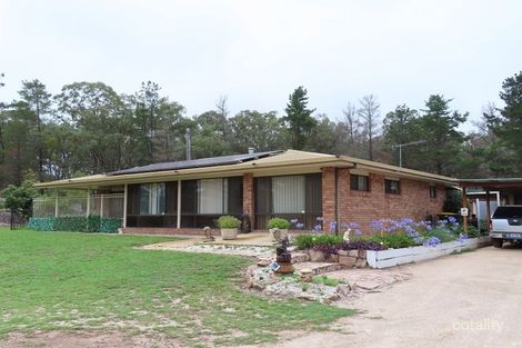 Property photo of 135 Hale Haven Drive Stanthorpe QLD 4380