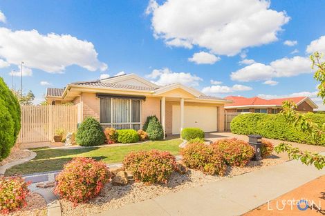 Property photo of 52 Buckingham Street Amaroo ACT 2914