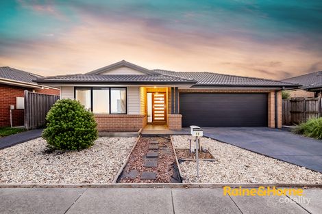 11 Hollywell Rd, Clyde North, VIC 3978