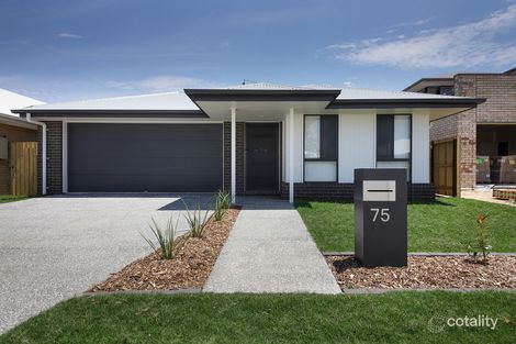 Property photo of 75 Merivale Avenue Jimboomba QLD 4280