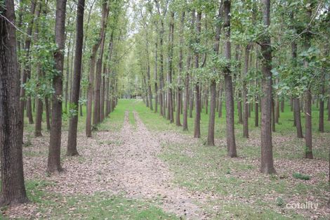 1641 St Albans Rd, St Albans, NSW 2775