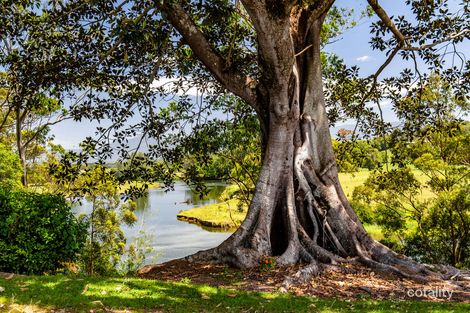 Property photo of 15 Baker Street Fernmount NSW 2454