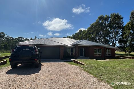 46 Parkside Dr, Nicholson, VIC 3882